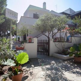 Albergo LA PINETA，位于圣多米诺的酒店