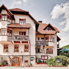 Hotel Adler，位于劳达-柯尼希斯霍芬的酒店