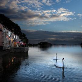 The Wilcove Inn，位于托波因特的酒店