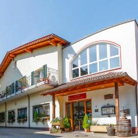 Hotel-Restaurant zum Ochsen，位于沙尔施塔特的酒店