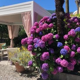 Hotel Antica Stallera,位于坎诺比奥的酒店
