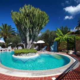 Residence Giardino del Sole，位于福利奥-伊斯基亚的酒店