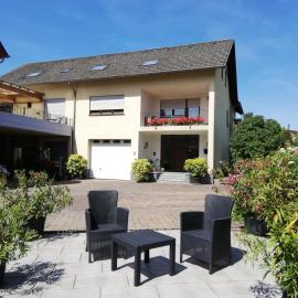 Wein-und Gästehaus Alfons Bollig，位于特里滕海姆的酒店
