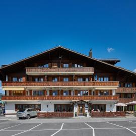 Hotel Alphorn，位于格施塔德的酒店