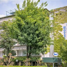 Hotel Santoli，位于波雷塔泰尔梅的酒店