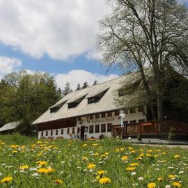 Gasthaus Staude，位于特里贝格的酒店