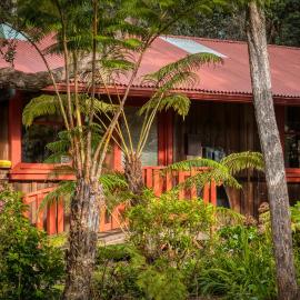 Crater Rim Cabin，位于沃尔卡诺的酒店