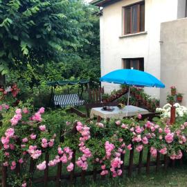 Guest house Emmy，位于特里格拉德的酒店
