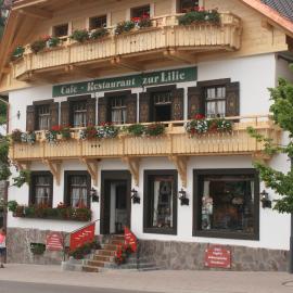 Gästehaus Zur Lilie，位于特里贝格的酒店
