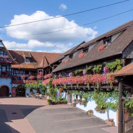 Maison Kieffer - Hotel & Vins d'Alsace，位于伊泰尔斯维莱的酒店
