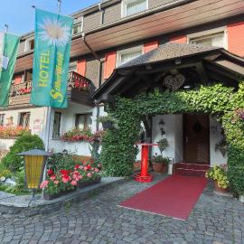 Hotel Silberdistel，位于欣特察尔滕的酒店