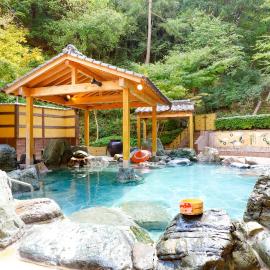 Ooedo Onsen Monogatari Hotel Reoma no Mori，位于丸龟市的酒店
