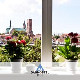 Danhostel Ribe，位于里伯的酒店