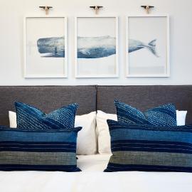 The Clovelly Hotel,位于悉尼的酒店