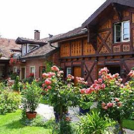 Hotel zur Krone，位于奥根的酒店