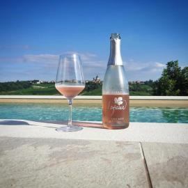 Laficaia Wine Resort，位于蒙巴鲁佐的酒店