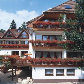 Hotel Sonnenhof，位于巴特萨克萨的酒店