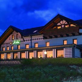 Hotel Berggarten，位于布罗特罗德的酒店