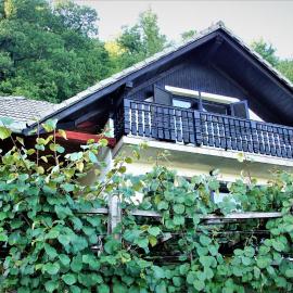 Vineyard Cottage Zajc，位于Semič的酒店