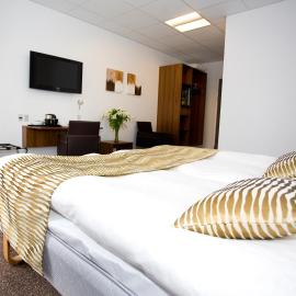 Hotel Thinggaard，位于Hurup的酒店