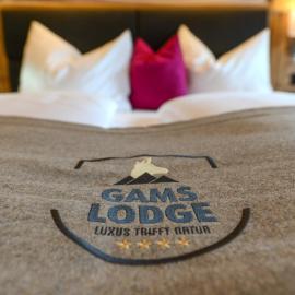 Gams Lodge，位于戈尔德格的酒店
