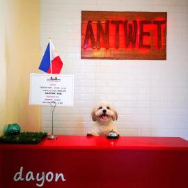 Antwet Backpacker's Inn & Rooftop Bar，位于杜马格特的酒店