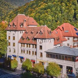 Hotel Rina Cerbul，位于锡纳亚的酒店