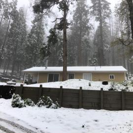 Sequoia National Forest CabinM，位于Panorama Heights的酒店