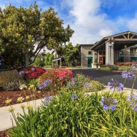 Holiday Inn Express & Suites Carpinteria by IHG，位于卡宾特里拉的酒店