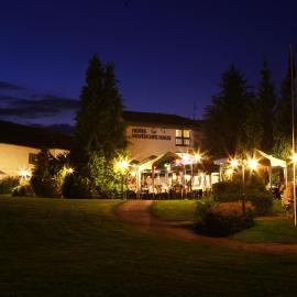 Parkhotel Goldlinde,位于博登韦尔德尔的酒店
