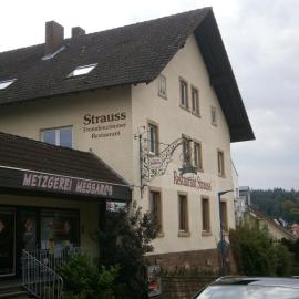Hotel Strauss，位于瓦尔德布龙的酒店