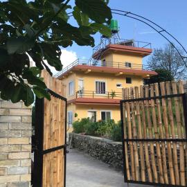 Mone's Mountain View Hotel，位于Kāskī的酒店