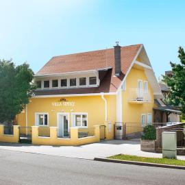 Villa Sipeky，位于塞内奇的酒店