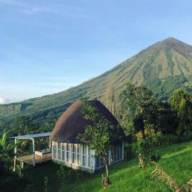 Manulalu Jungle,位于Bajawa的酒店