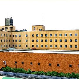 Ishinomaki Grand Hotel，位于石卷市的酒店