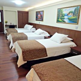 Hotel Newen，位于特木科的酒店