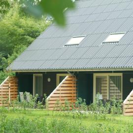 Horsetellerie Rheezerveen，位于哈登贝赫的酒店