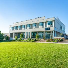 The Tea Tree,位于Modbury的酒店