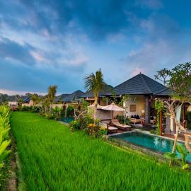 Bliss Ubud Spa Resort，位于乌布的酒店