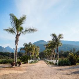 Mountain Breeze Log Cabins，位于Sanddrif的酒店