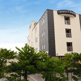 Hotel New White House，位于Rumoi的酒店