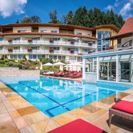 Naturparkhotel Adler，位于沃尔法赫的酒店