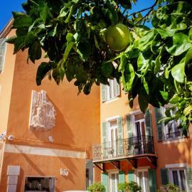 Hôtel restaurant Oasis，位于尼斯的酒店