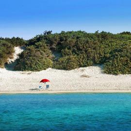 Camping Torre Castiglione