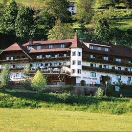 Hotel Restaurant Stigenwirth，位于Krakauebene的酒店