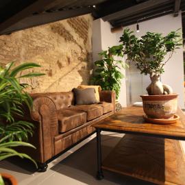 VTZ The Botanic Hostel，位于萨拉戈萨的酒店