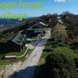 Pangeo forest village，位于Mousthéni的酒店
