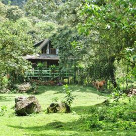 Mindo Eco Chalet, Rio y Cascadas，位于明多的酒店