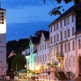 Historisches Hotel zum Schwan,位于巴特卡尔斯哈芬的酒店