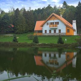 Alirét Vadászház，位于Ságvár的酒店